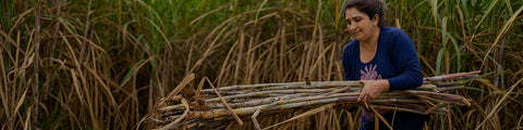 Sugar farmer Rosalba Burgos moving sugar cane in Paraguay