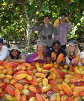 Showing off a successful harvest of cacao pods at ACOPAGRO co-op in Peru