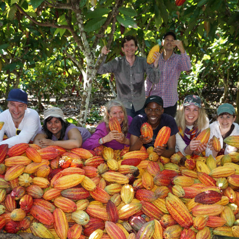 Showing off a successful harvest of cacao pods at ACOPAGRO co-op in Peru