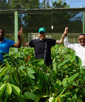 Dary Goodrich of Equal Exchange stands between Ramon Mosquea and Jaime Gomez surrounded by cacao seedlings at a CONACADO tree nursery