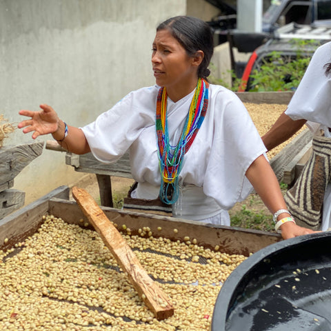 woman coffee farmer of Anei cooperative talking in front of depulped green coffee beans in Colombia