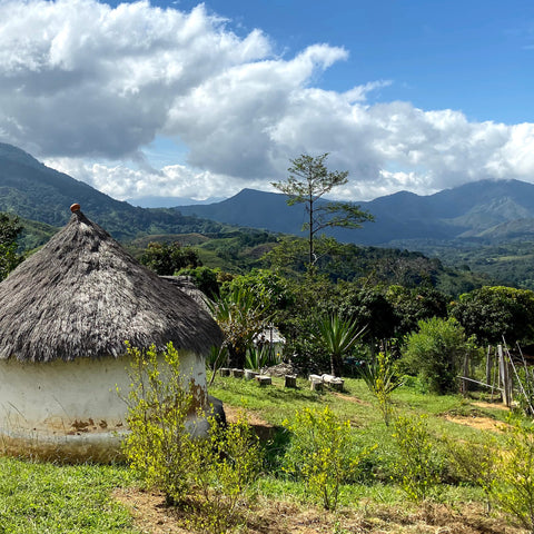 Landscape with grass roof structure and mountains in the background in northern Colombia