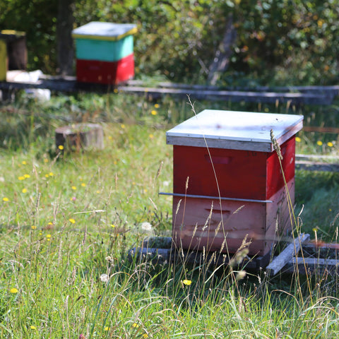 stack of red and pink painted bee hives sitting in the tall grass with more colorful beehives in the background