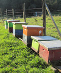 stacks of colorful wooden beehives in the grass in front of a wire fence