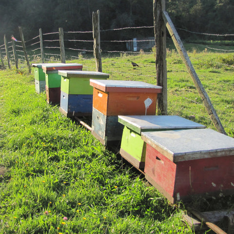 stacks of colorful wooden beehives in the grass in front of a wire fence