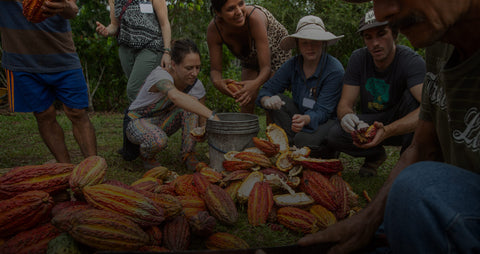 A democratic food system takes all of us: farmers, workers, and you!